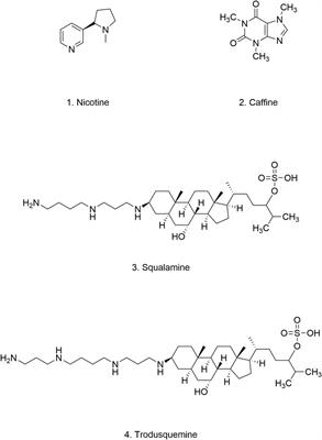 The potential of natural products to inhibit abnormal aggregation of α-Synuclein in the treatment of Parkinson’s disease